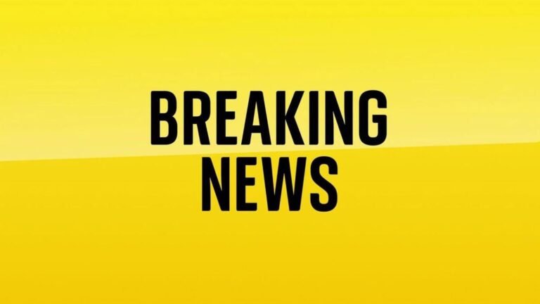 Teacher and several students injured in knife attack in Zagreb, Croatian police say | World News