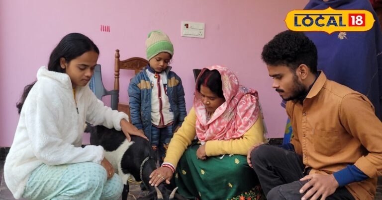 Pintu Singh family in Jamui celebrates the birthday of goat celebrating since 2020 Get amazing things as gifts