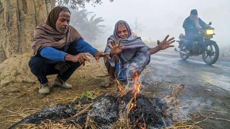Haryana Punjab Weather Update Today 13 December IMD Forecast Cold Wave Yellow Alert Issued Chandigarh Hisar Weather
