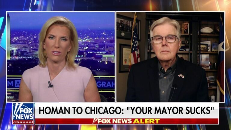 Texas lieutenant gov has message for blue state leaders who resist immigration laws: ‘Buck up, buttercup’