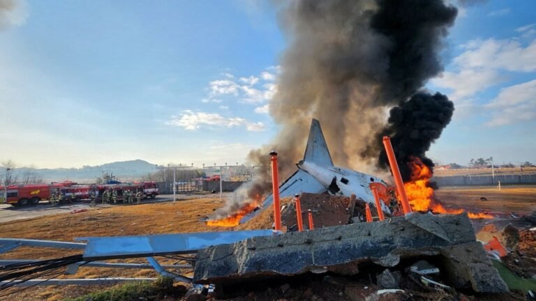 28 passengers killed in plane crash at South Korea airport | World News