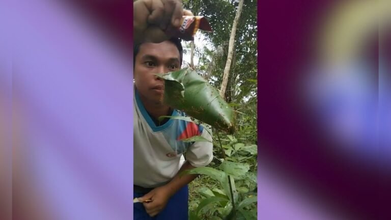 To go viral, such a stunt, ate the house of thousands of ants