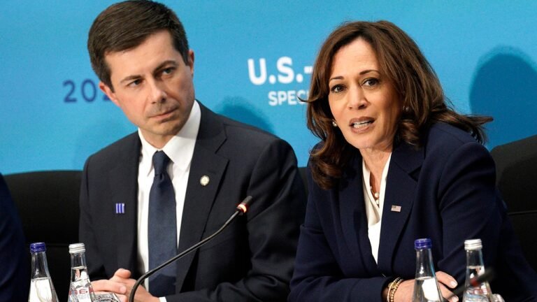 Harris faces backlash for saying gay identity made Buttigieg non-viable VP
