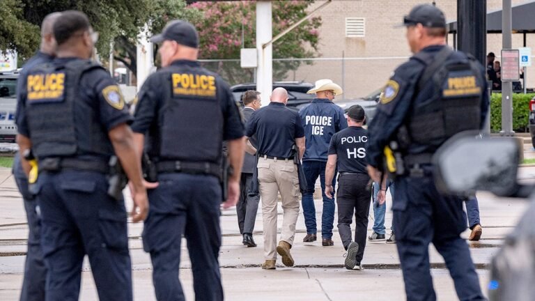 MSNBC panelists blame rhetoric for deadly Dallas ICE facility shooting