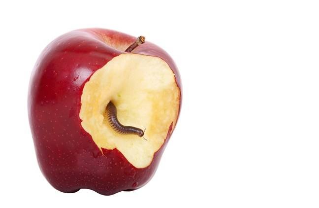 Microsoft spots XCSSET strain hiding in Apple dev projects • The Register
