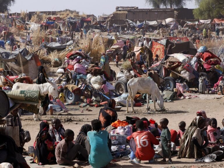 UN ‘gravely alarmed’ by deteriorating situation in Sudan’s el-Fasher | Humanitarian Crises News