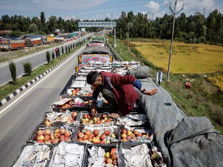 ‘Gone to waste’: Kashmir growers watch apples rot as key highway is blocked | Agriculture News