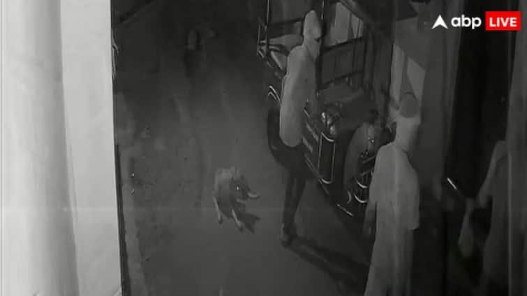 Unique stars of thieves in Mahoba, panic among people due to terror of miscreants knocking on the door