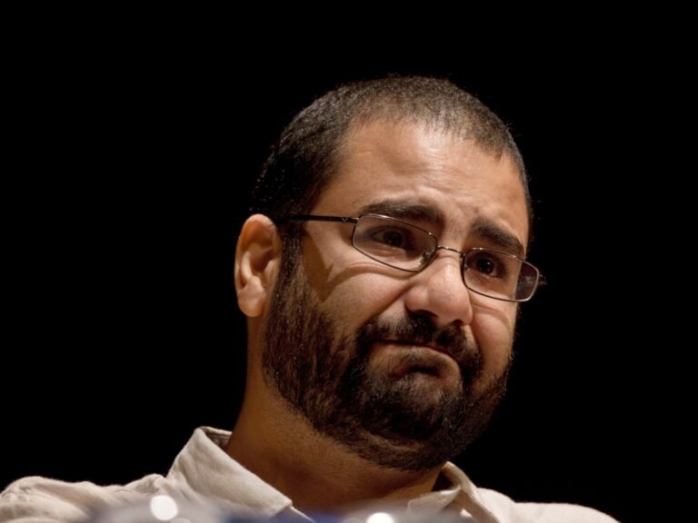 Egyptian-British activist Alaa Abd el-Fattah granted presidential pardon | Human Rights News