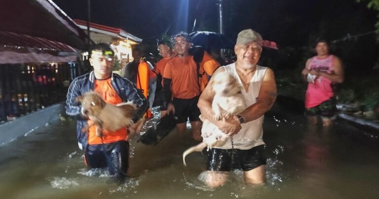 Tropical storm Bualoi kills at least 4, displaces 400,000 in Philippines | Weather News