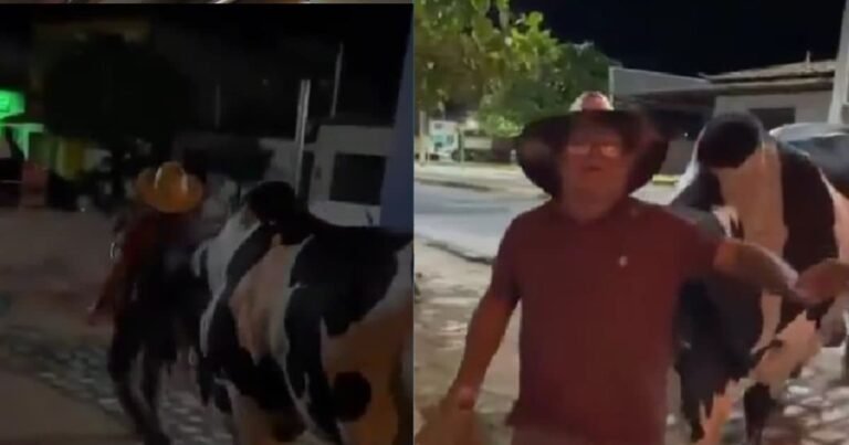 The owner was lying somewhere, the bull came to take home, started doing such action, the heart will be filled after seeing it!