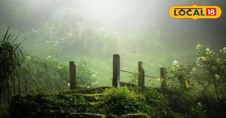 PHOTOS: Have seen MP’s rare “Patal Lok”? The secret of 12 villages is unique 700 feet below