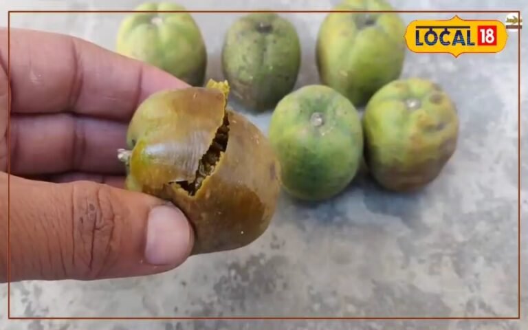 Forget the soap-deitator, wash clothes with this natural fruit, the glow will look like this … exactly like new