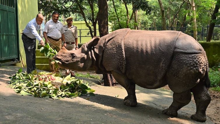 Patna Zoo second place in the world for the conservation of rhinoceros, the top center of the country