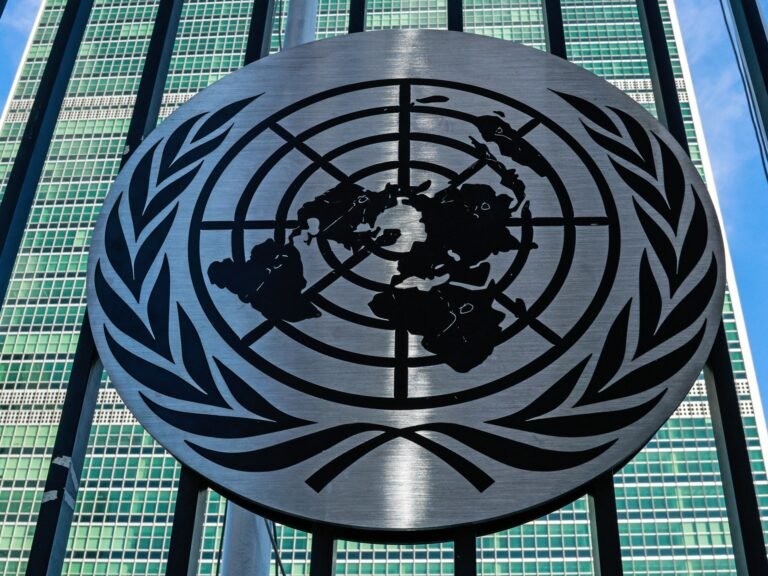 Could you pass a quiz on UN terminology before the 2025 General Assembly? | United Nations News