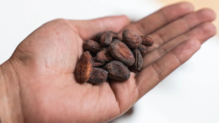New study says cocoa extract may help reduce age-related disease risk for older adults