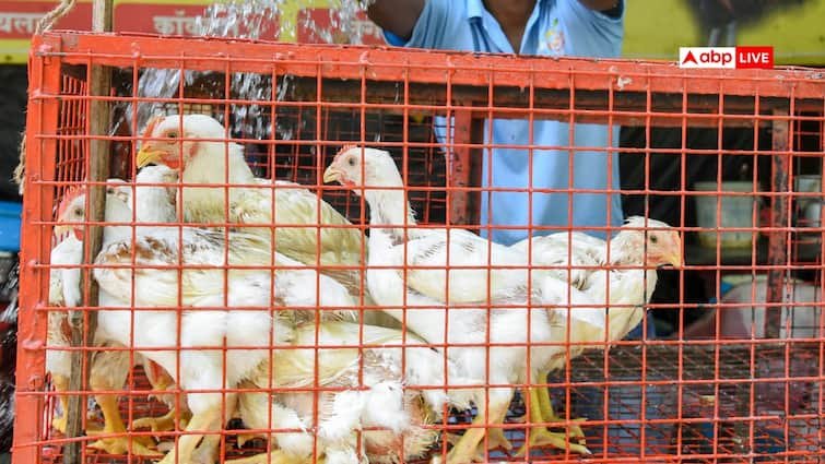 Maharashtra: Meat shops will be closed during Navratri in Maharashtra? Shinde faction cleaned the stand