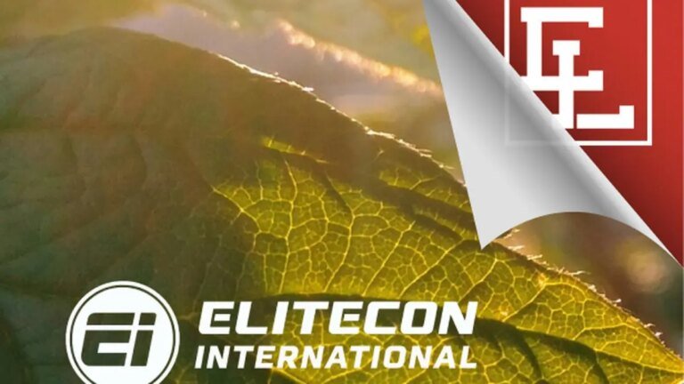 Elitecon International to Raise ₹ 300 CR Via QIP