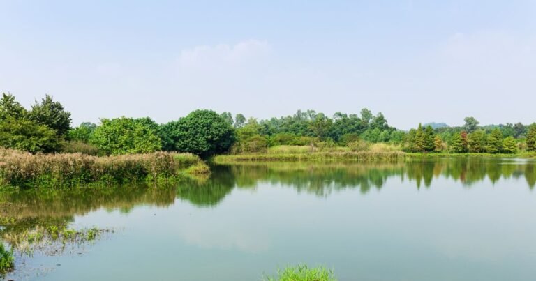 The pond was going on renovation, then the thousands of years old ‘bathroom’, archaeologists, flew the investigation!