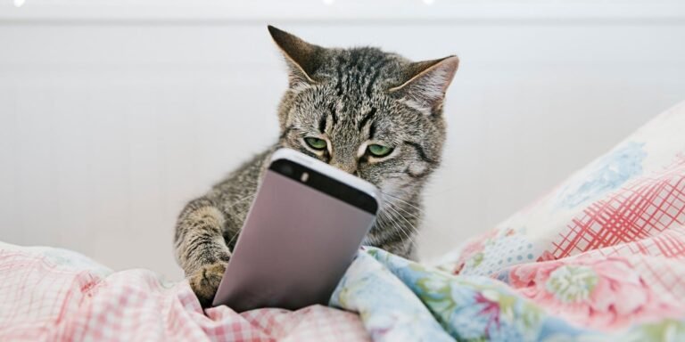 Google, Meta and Vodafone want help from smartphone-makers • The Register