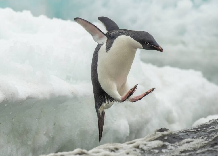 Bcachefs goes DKMS after Torvalds’ kernel banishment • The Register