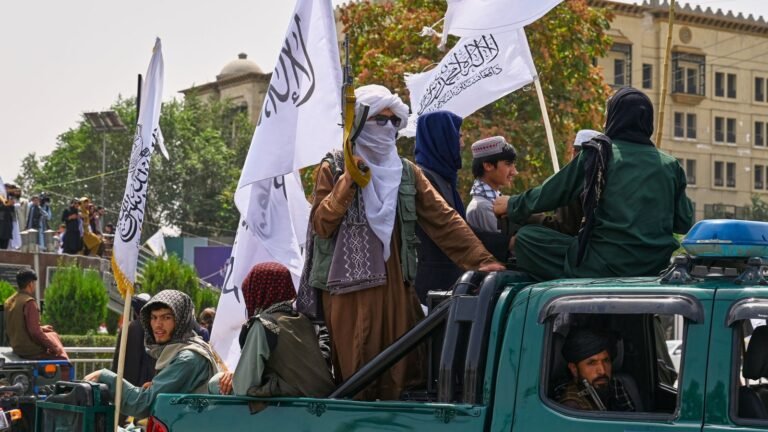 Afghanistan internet ban ‘extinguishing the only light that still reaches us’ | World News