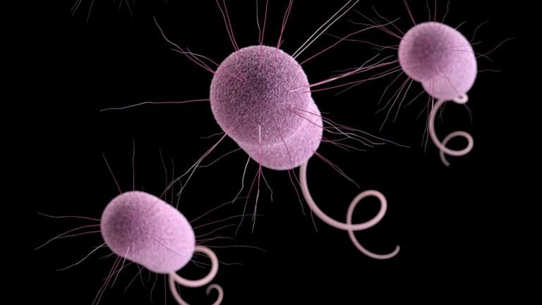 ‘Nightmare bacteria’ cases rising in the US | Science, Climate & Tech News