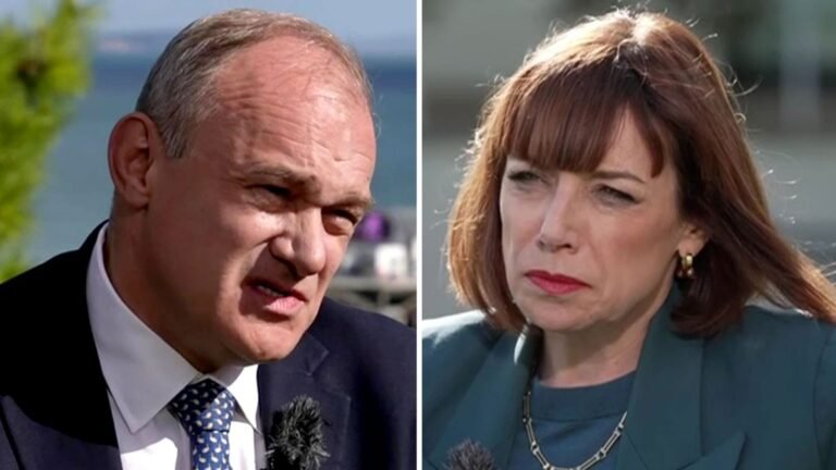 Why Ed Davey is taking the fight to Farage – despite the Lib Dems and Reform sharing few voters | Politics News