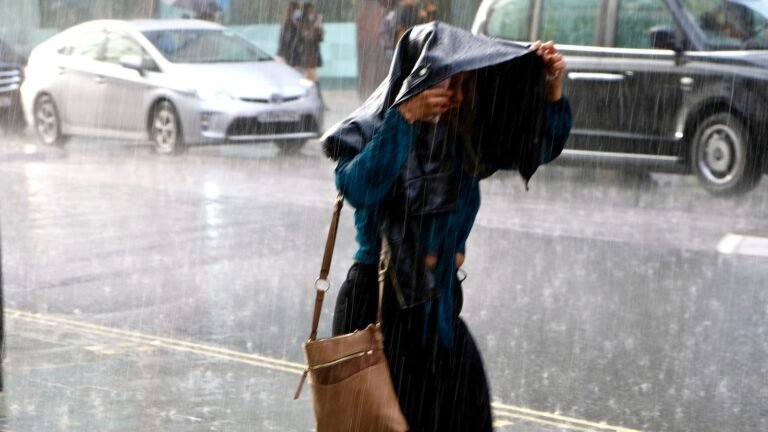 UK weather: Yellow warnings issued as rain set to batter parts of UK this weekend | UK News