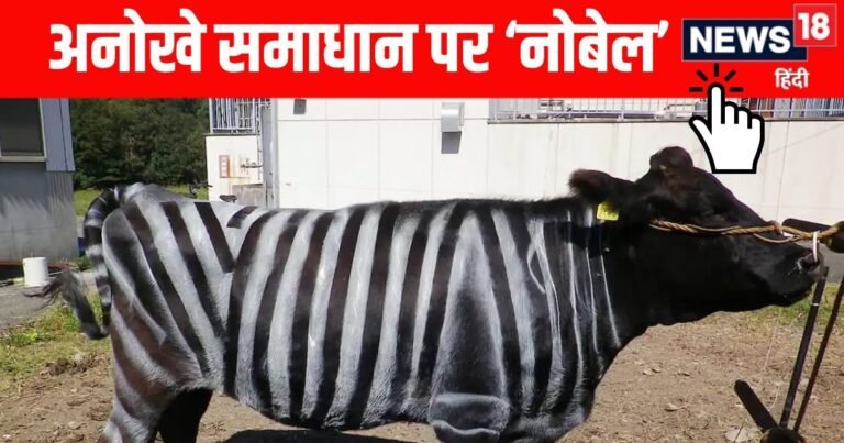 Restored by flies, there were safety with stripes like cow, zebra, Japanese scientists received a unique award!