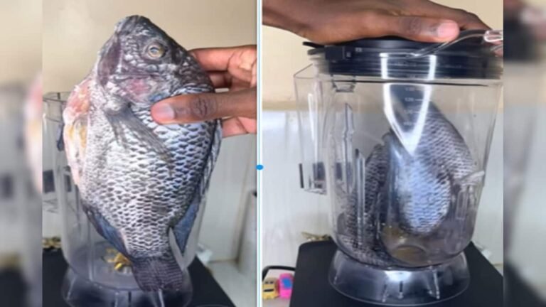 Can fish be ground in Mixer Grinder? Man put 2 fishes in a jar, this is what happened!