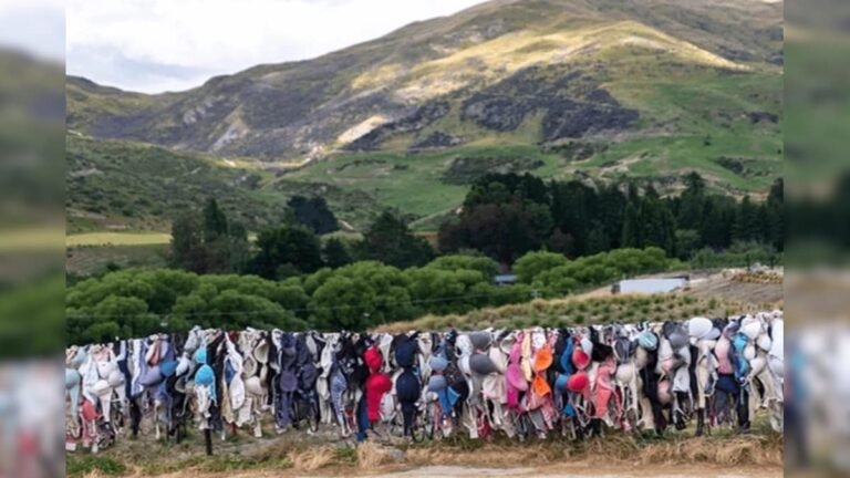 People come to hang bras on the side of the highway, thousands of bras are hanging, the reason will surprise you!