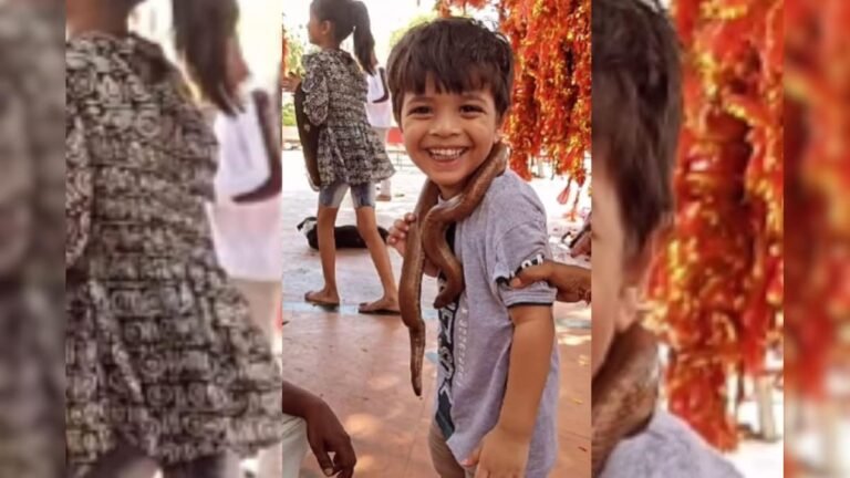 Unique feat of the snake charmer, snake wrapped around the neck of a child, then the innocent act won everyone’s heart!