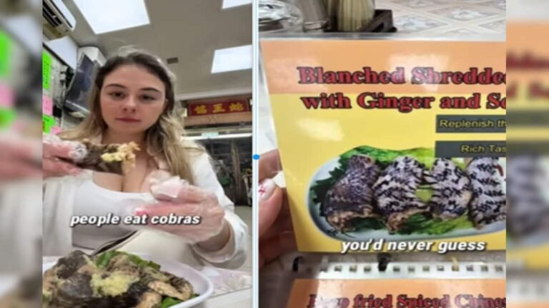 Cobra is served in this restaurant, 1600 rupees plate, option of Fry as well as Boiled.