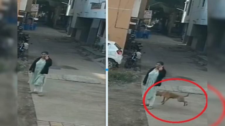 Stray dog ​​attacks woman standing outside her house, tore her leg, dog lovers become dumb! – News18 Hindi