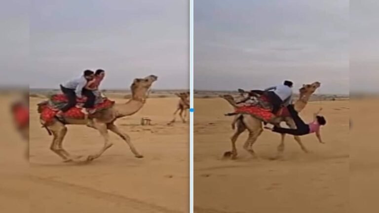 Camel ride proved to be difficult, couple fell on sand, bones and ribs broken