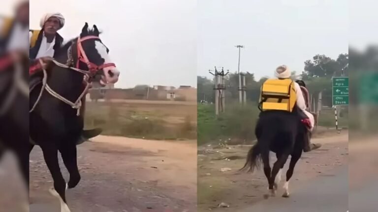Swiggy Baba did home delivery with a horse? Video went viral due to one mistake