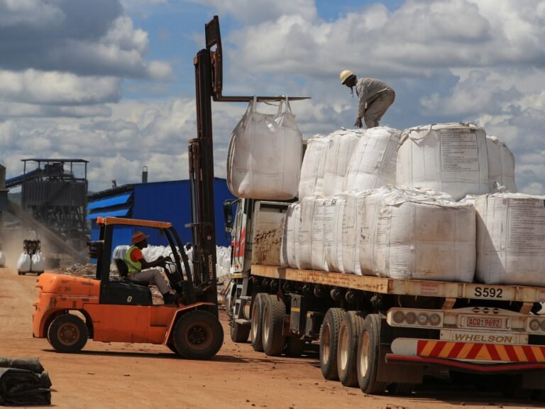 Zimbabwe imposes ban on exports of all raw minerals and lithium concentrate | Mining News
