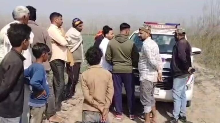 Panipat: Shock after finding severed heads of cows near Yamuna, anger among people, demand for strict action