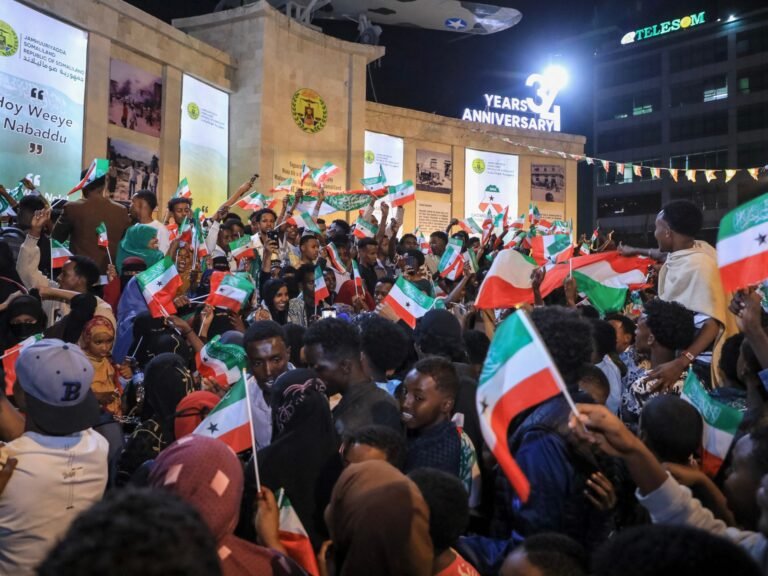 Somaliland minister says US may access its minerals, military bases: Report | News