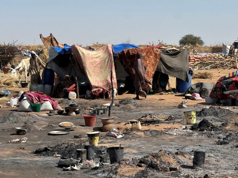UN mission finds RSF destruction in el-Fasher bears ‘hallmarks of genocide’ | Sudan war News