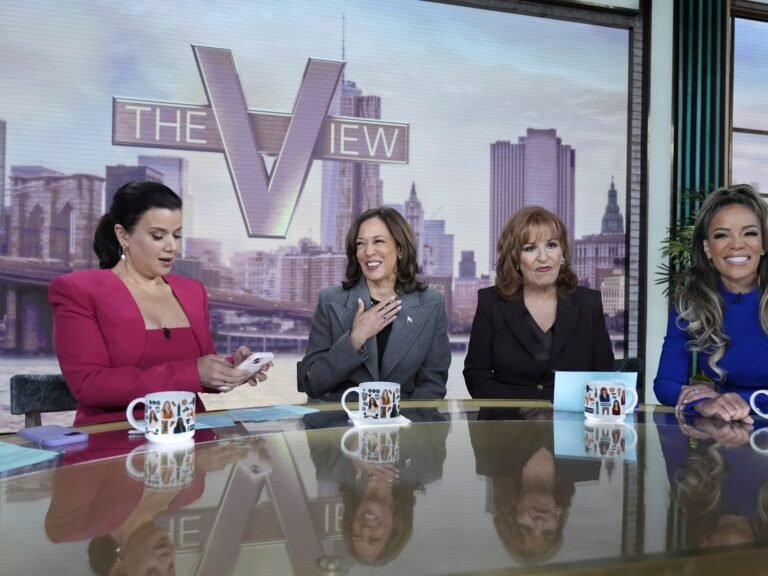 US FCC notice to broadcasters prompts concerns on curtailing free speech | Freedom of the Press News