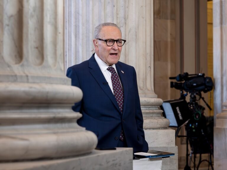 Democrats demand reforms to Homeland Security over immigration operations | Donald Trump News