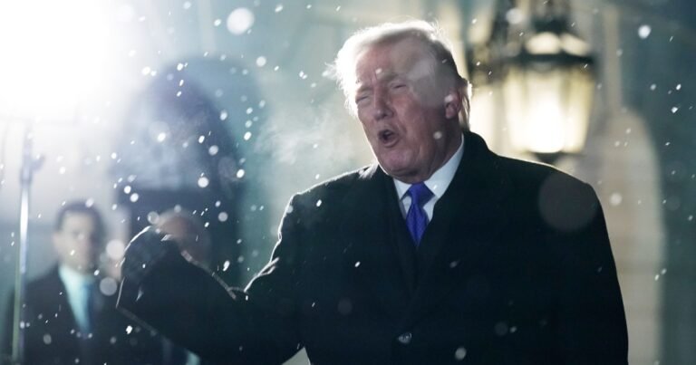 Facing a mercurial Trump, countries scramble to forge new alliances | Business and Economy News