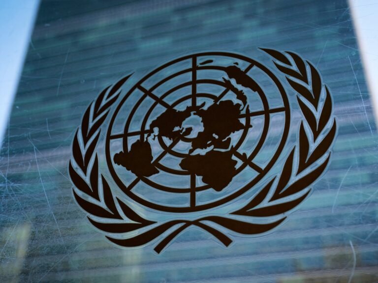 UNSC moves Gaza meeting to avoid clash with Trump’s Board of Peace | Donald Trump News