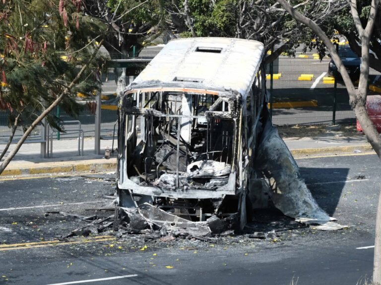 Burnt vehicles line highway near Mexican World Cup stadium | Drugs
