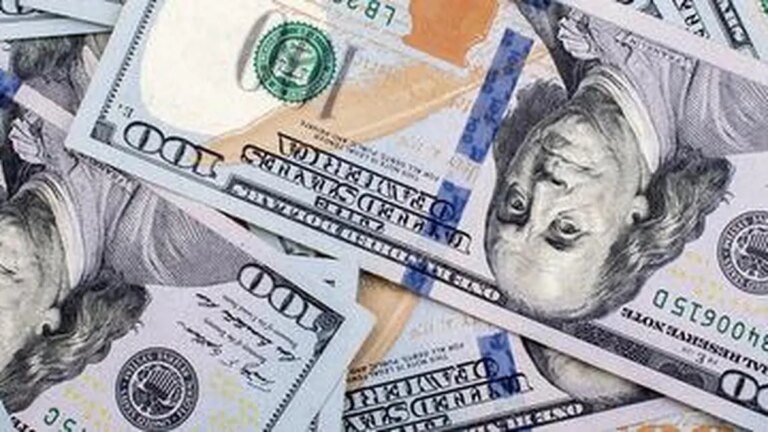 FIIs trim, DIIs take the wheel