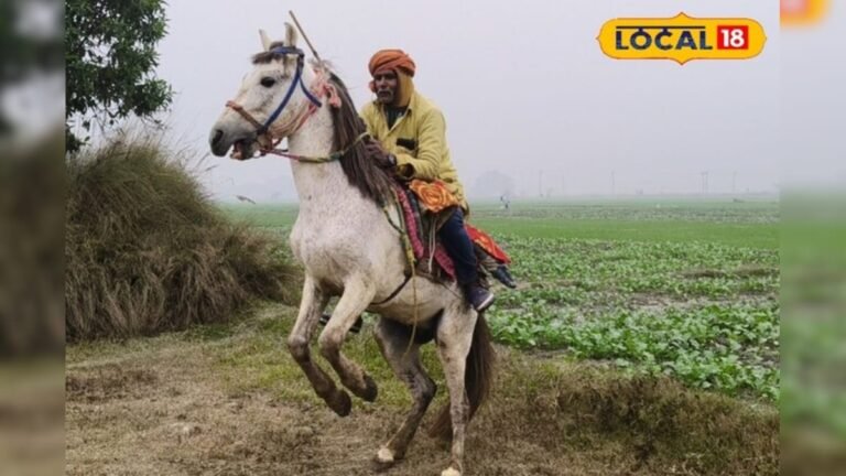 Neither luxury car, nor bungalow…the hobby that started at the age of 16 has become a passion today – News18 Hindi