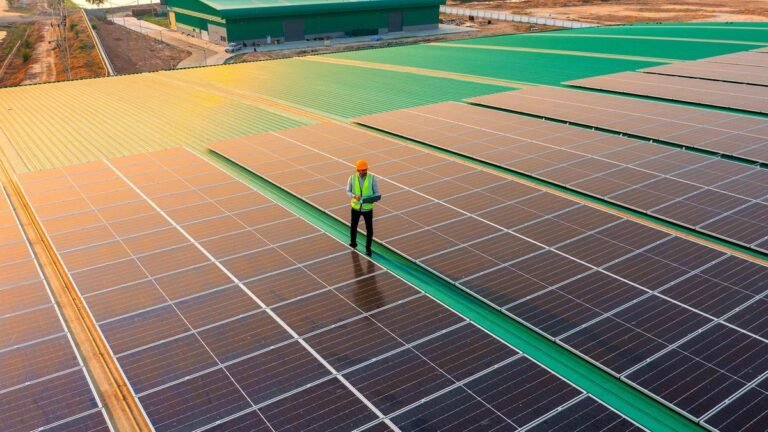 Why are Waaree, Premier Energies shares bouncing back despite 126% US duty?