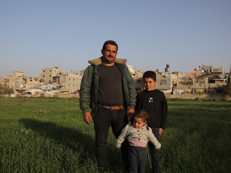 Farmers in Gaza risk Israeli bullets to bring their fields back to life | Israel-Palestine conflict